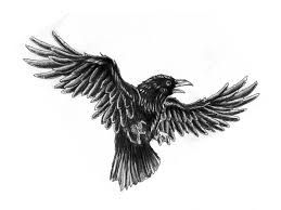 259x194 How To Draw Chinese Flying Crow - Flying Crow Drawing