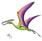 150x144 draw a pterosaur - Flying Dinosaurs Drawing
