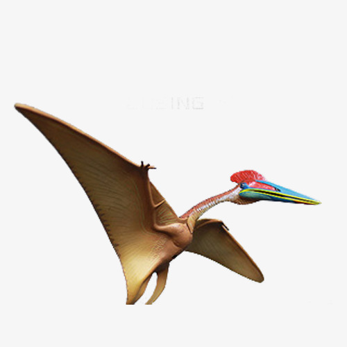 500x500 hand drawn flying dinosaurs, breast feeding, dinosaur, flight png - Flying Dinosaurs Drawing