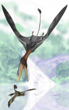 227x360 new type of flying reptile darwin's pterodactyl preyed on flying - Flying Dinosaurs Drawing