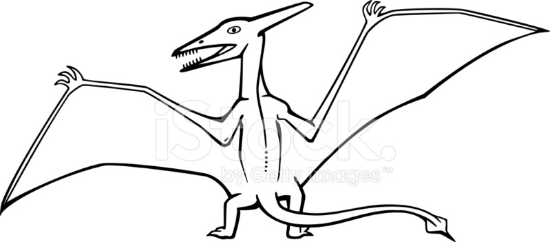 799x351 pterodactyl stock vector - Flying Dinosaurs Drawing