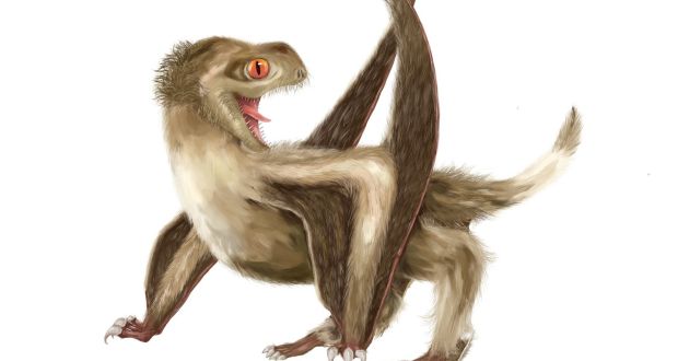 620x330 study of flying reptile sheds light on origin of feathers - Flying Dinosaurs Drawing
