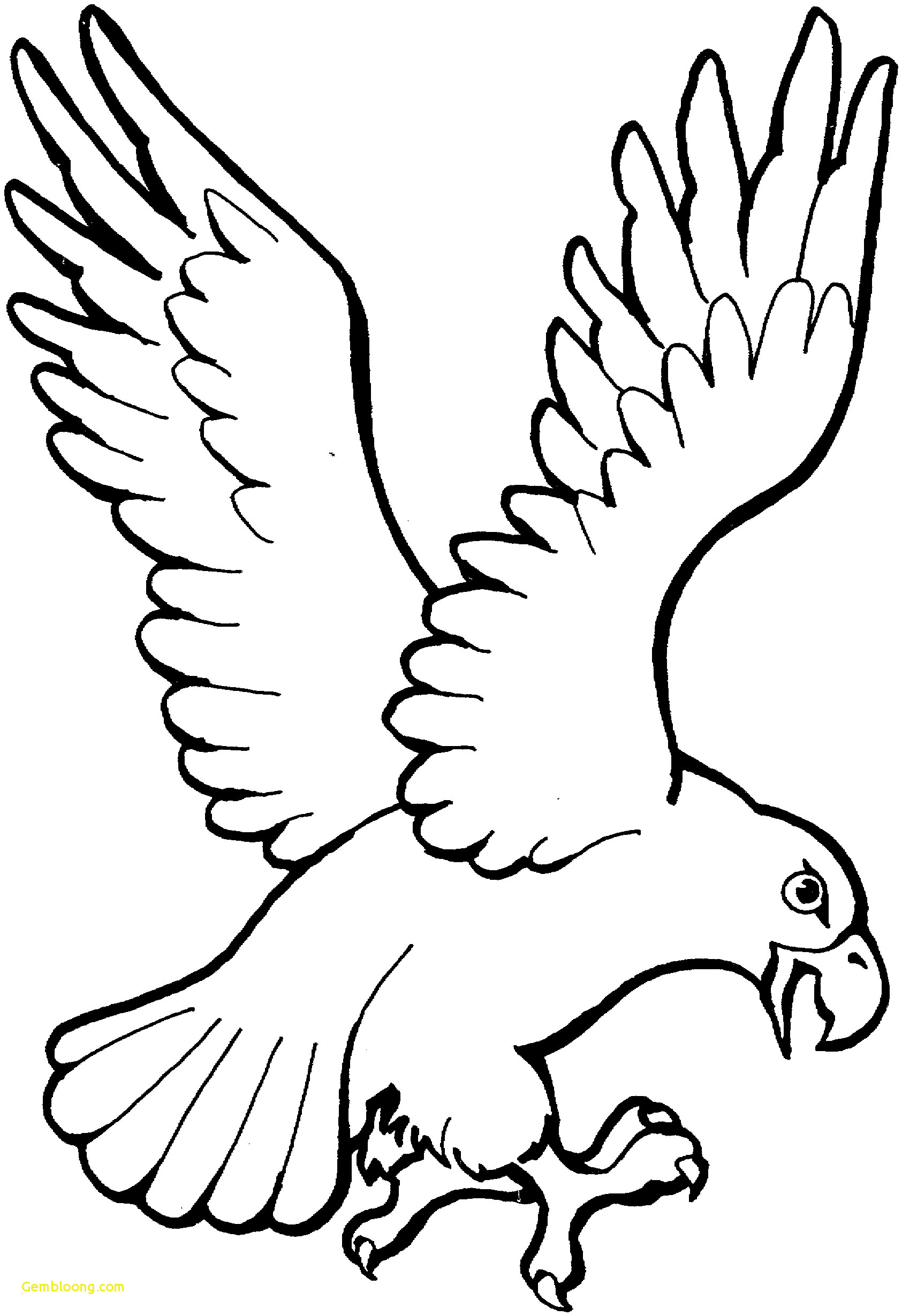 Flying Dove Drawing