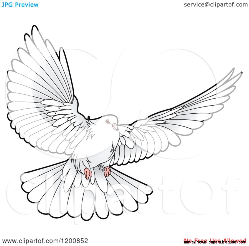 982x972 Flying Dove Drawing Amazing Wallpapers - Flying Dove Drawing