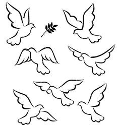 236x248 Flying Dove Drawing Elegant Best Dove Images Webadda - Flying Dove Drawing
