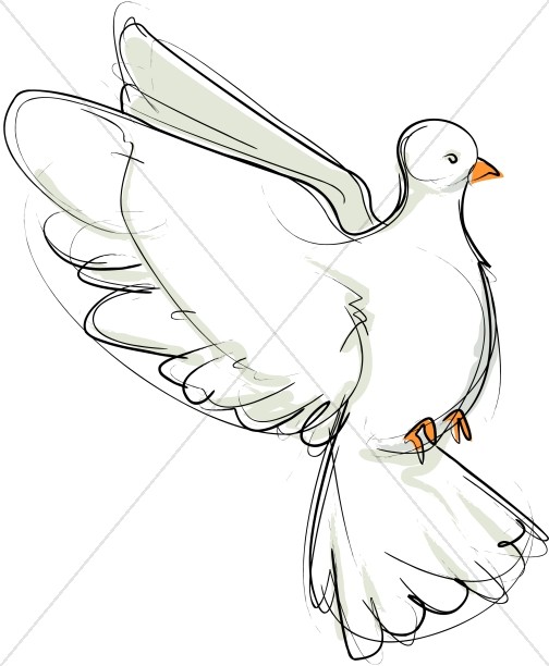 504x612 Flying Dove Sketch Dove Clipart - Flying Dove Drawing