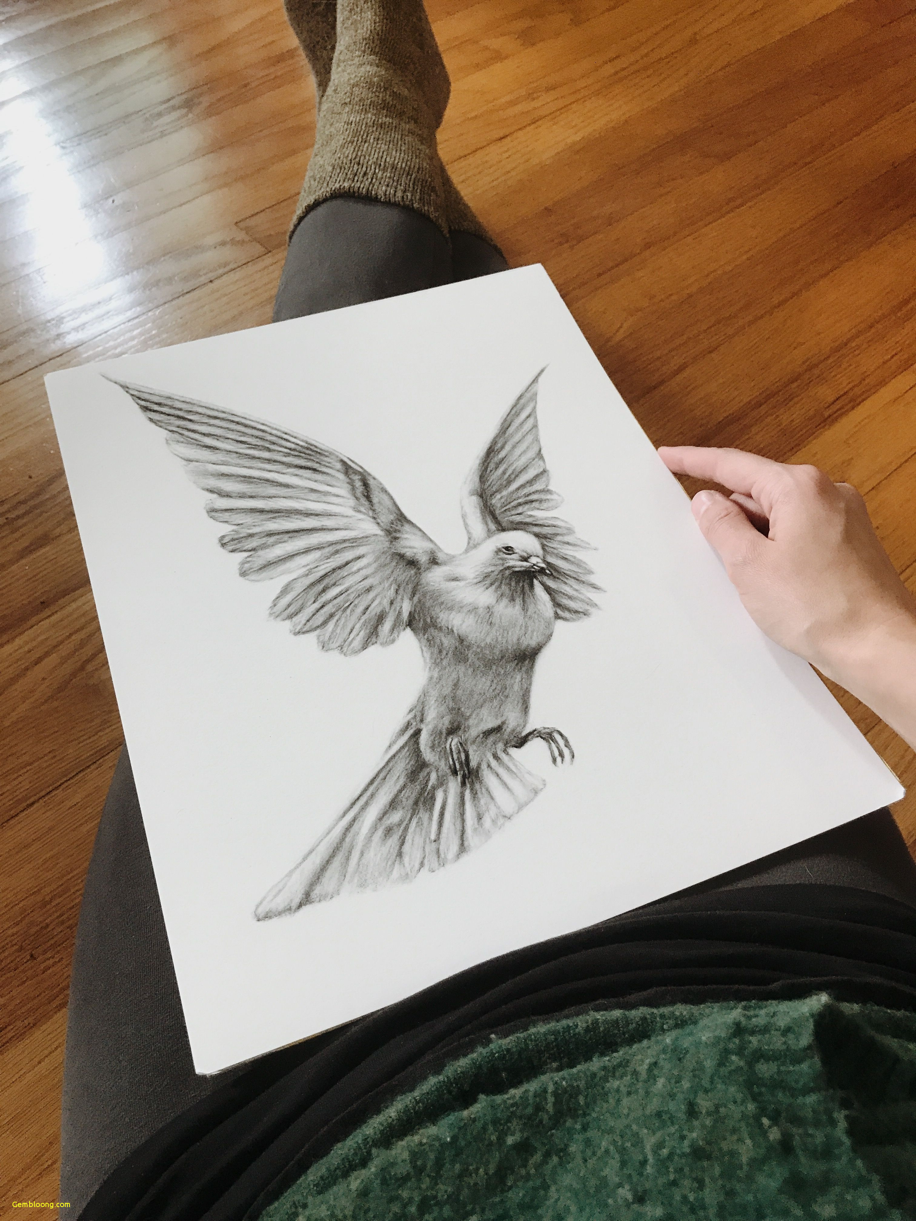 3024x4032 How To Draw A Dove Realistic Dove Charcoal Drawing Black - Flying Dove Drawing