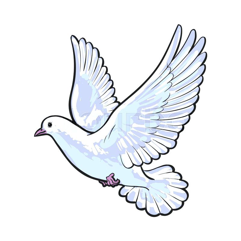800x800 Flying Doves Melissaperkins - Flying Dove Drawing