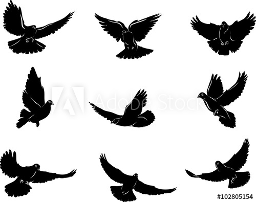 500x395 dove, flying dove black and white image, options image, vector - Flying Dove Drawing