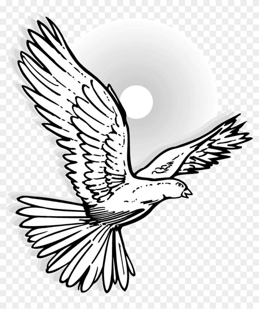 840x1001 Dove Free Stock Photo Illustration Of A Flying Dove - Flying Dove Drawing