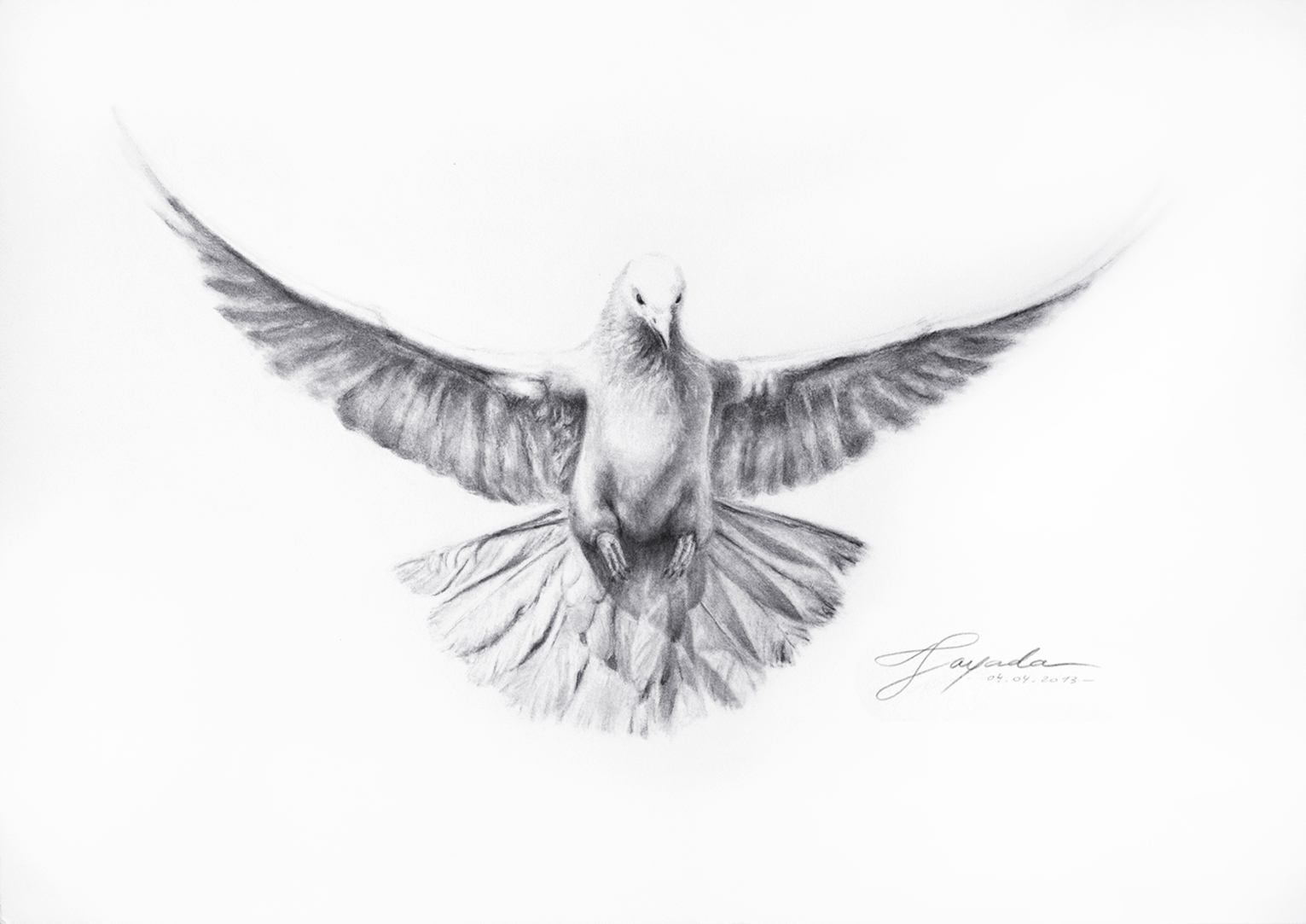 1531x1083 two flying doves drawing - Flying Doves Drawing