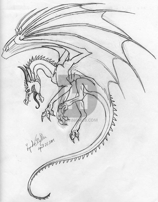 Flying Dragon Drawing at PaintingValley.com | Explore collection of ...