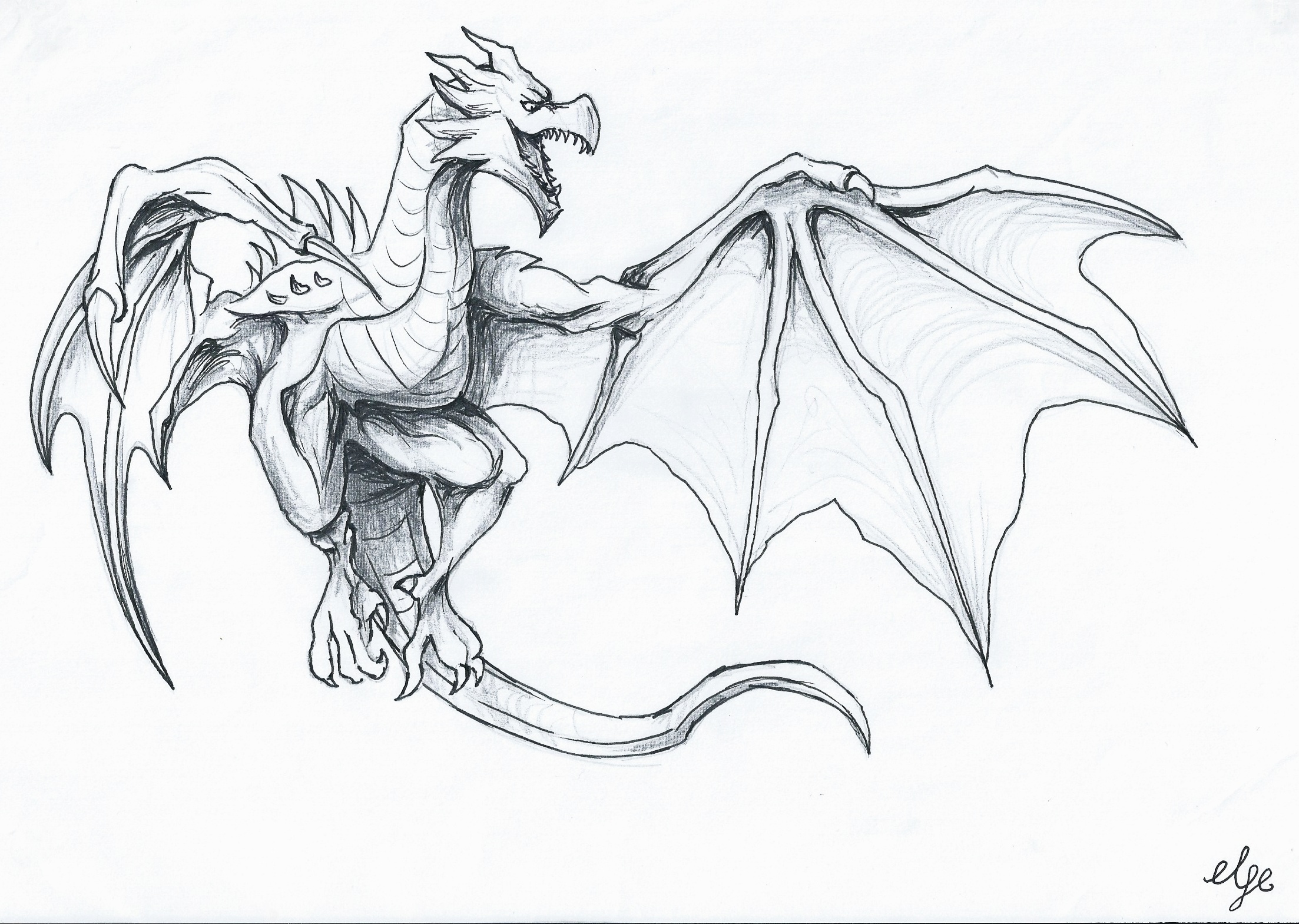 How To Draw A Dragon Flying