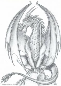 236x333 Dragon - Flying Dragon Drawing