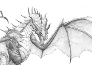 300x210 dragon sketches in pencil flying dragon flying drawing - Flying Dragon Drawing