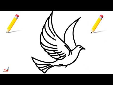 480x360 how to draw a pigeon for kids esy to drawing flying pigeon - Flying Drawing