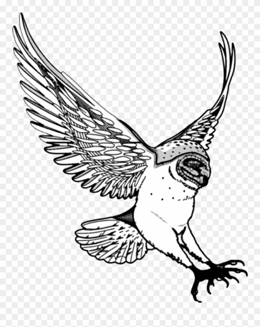 880x1104 Nursery Drawing Flying - Flying Drawing