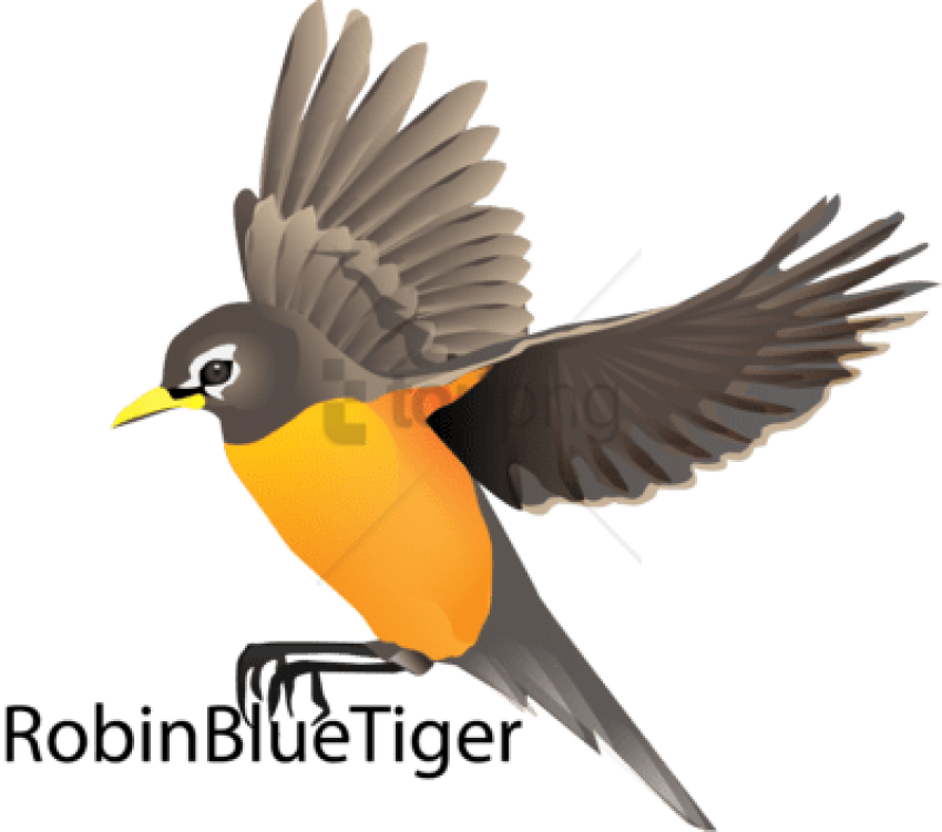 850x751 Robin Bird Flying Drawing Png Image With Transparent Background - Flying Drawing