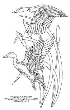 225x350 flying ducks pattern package - Flying Duck Drawing