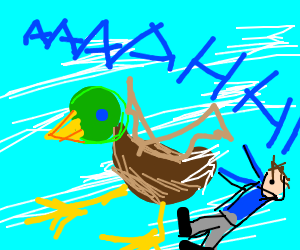 300x250 Man Falls Off Flying Duck Drawing - Flying Duck Drawing