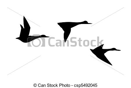 450x301 Vector Silhouette Flying Duck On White Background - Flying Duck Drawing