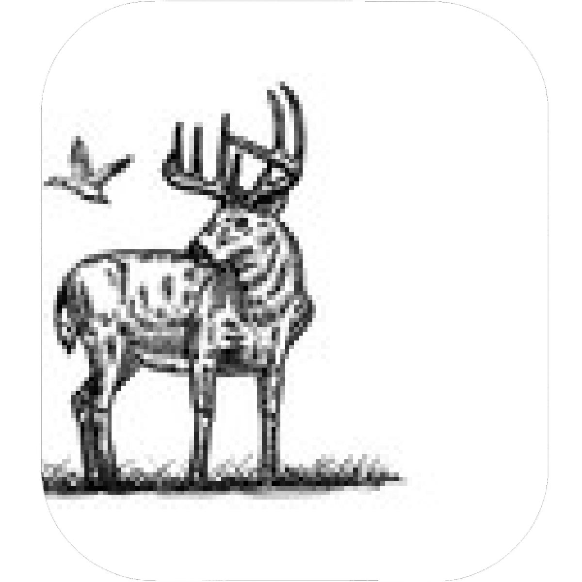 1200x1200 Designs Mein Mousepad Design Mousepad Selbst Designen - Flying Duck Drawing