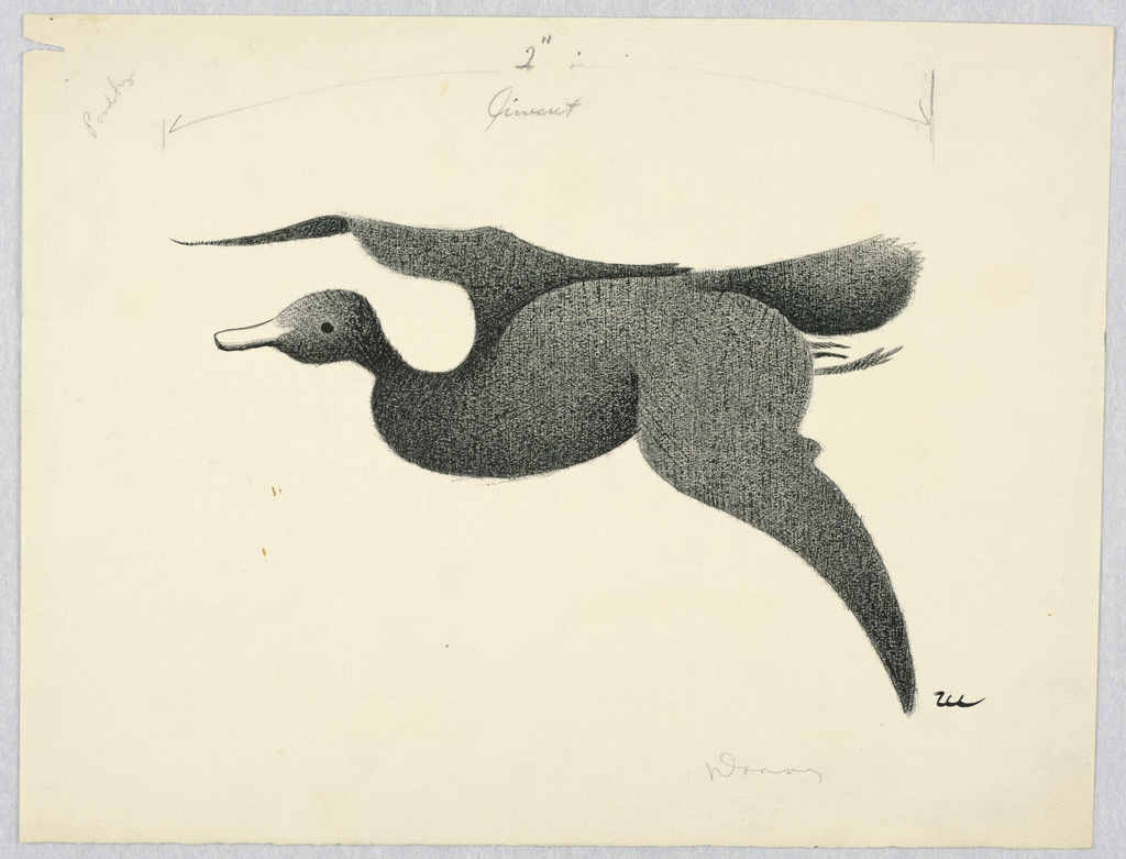 1024x781 Drawing, Flying Duck, Ca Objects Collection Of Cooper - Flying Duck Drawing