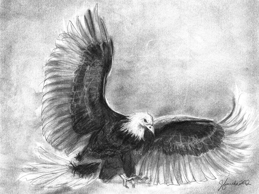 Flying Eagle Pencil Drawing at PaintingValley.com | Explore collection ...