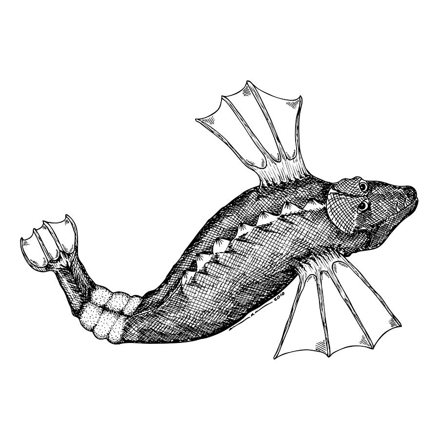 900x900 Flying Fish Drawing - Flying Fish Drawing