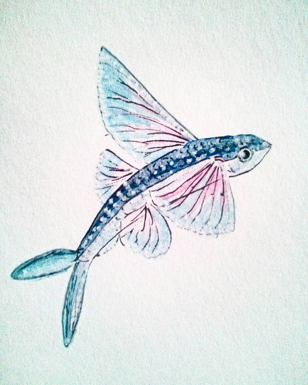 1080x1350 Flying Fish - Flying Fish Drawing
