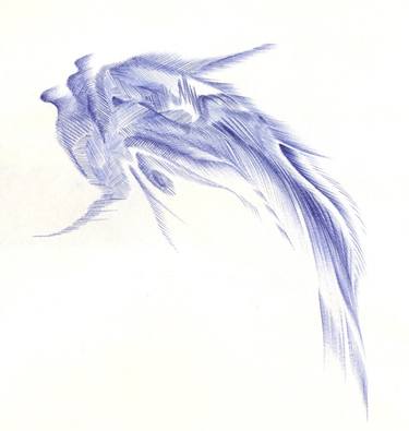 375x395 Flying Fish Drawing - Flying Fish Drawing