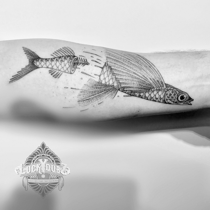 730x730 Luckydubz - Flying Fish Drawing