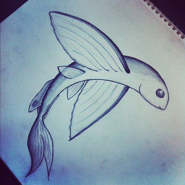 612x612 my flying fish drawing fish fish drawings, drawings, tattoos - Flying Fish Drawing