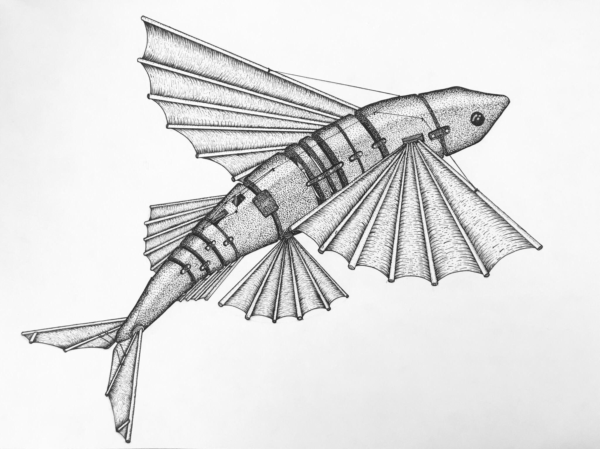 Flying Fish Drawing at Explore collection of