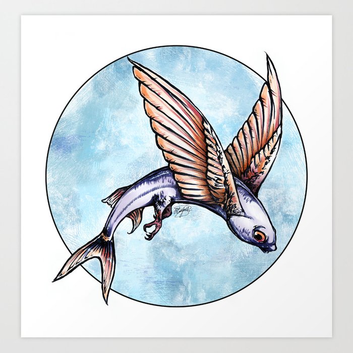 700x700 Flying Fish Art Print - Flying Fish Drawing