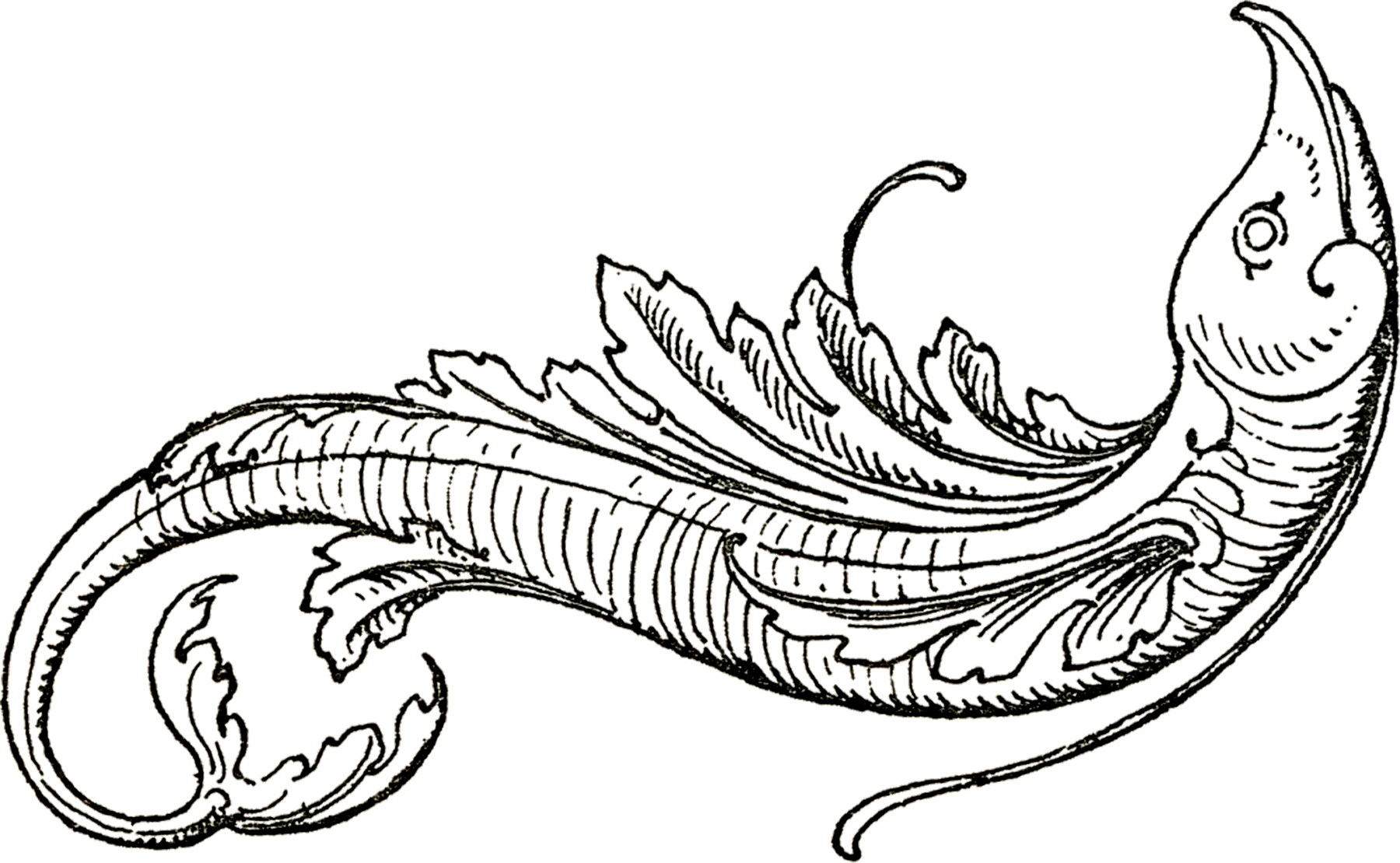 1800x1109 Flying Fish Blank Coloring - Flying Fish Drawing