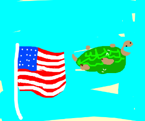 300x250 Flying Turtle Next To Us Flag - Flying Flag Drawing
