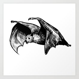 264x264 Flying Fox Art Prints - Flying Fox Drawing