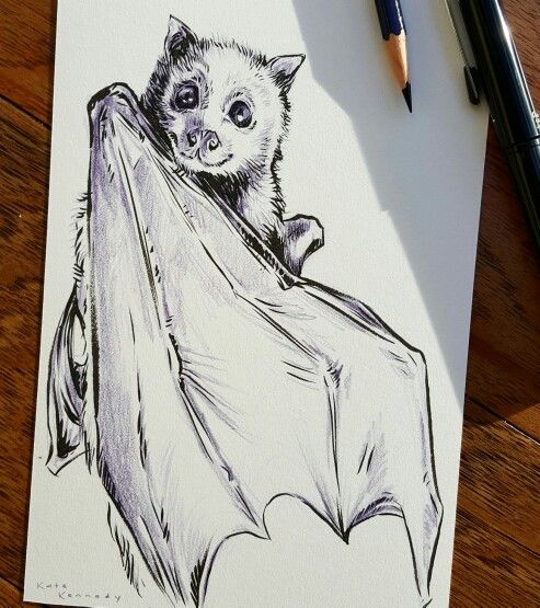 493x555 Happy Little Flying Fox Instagram - Flying Fox Drawing