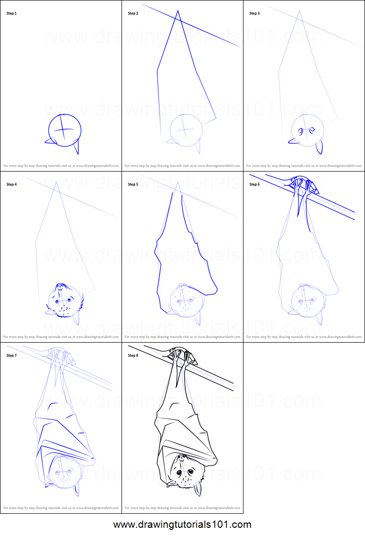 751x1107 How To Draw A Black Flying Fox Printable Step - Flying Fox Drawing