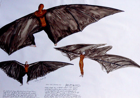 490x341 Robyn Gordon Fruit Batflying Fox Drawing - Flying Fox Drawing