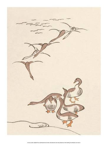366x488 japanese drawing of flying geese prints - Flying Goose Drawing