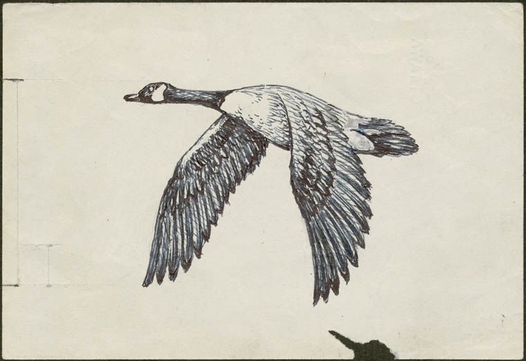 760x521 cents air mail canada geese near sudbury ontario tatts goose - Flying Goose Drawing