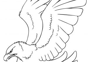 300x210 Drawing Of A Hawk Flying Hawk Drawing At Getdrawings Free - Flying Hawk Drawing