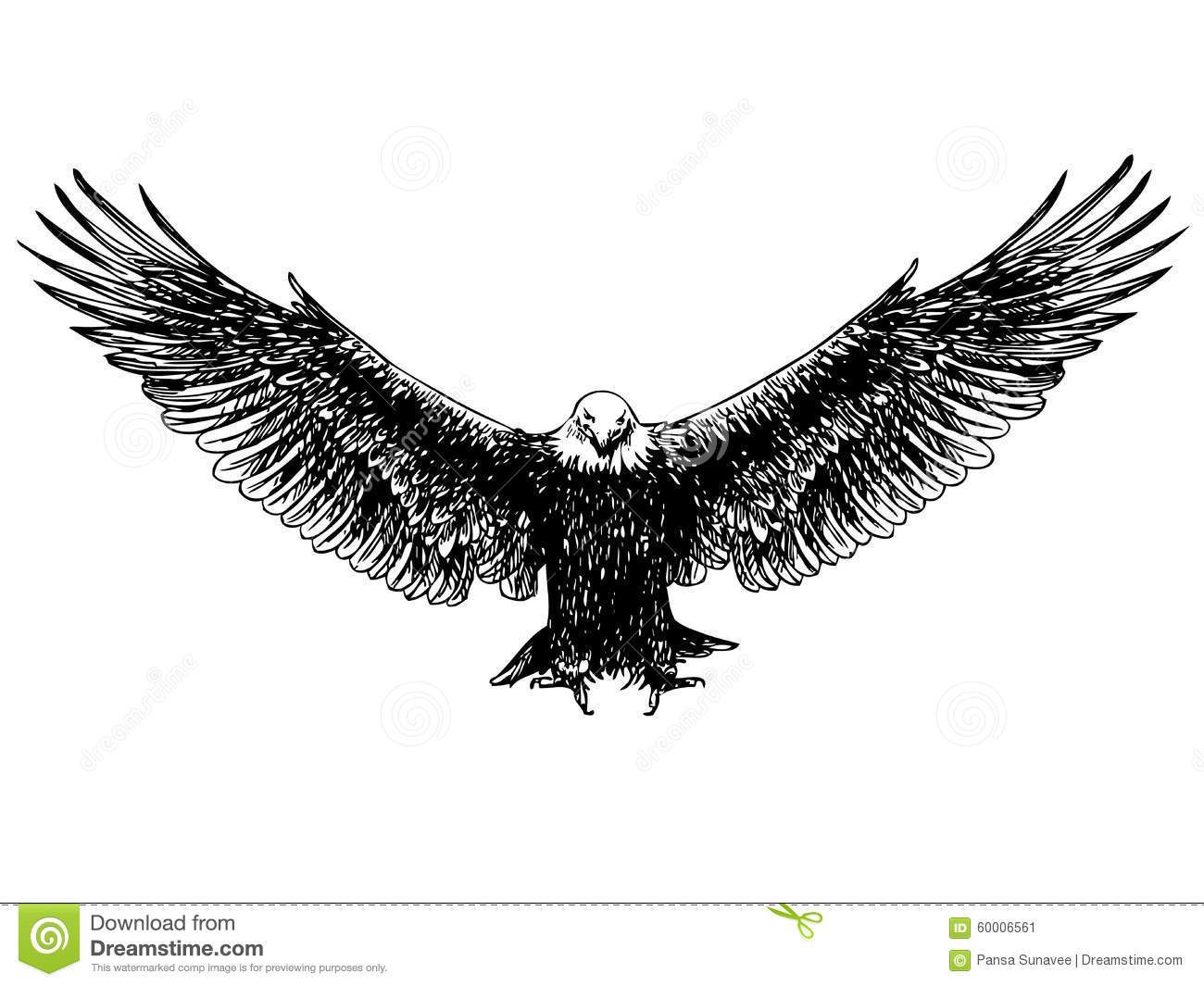 1300x1065 Flying Hawk Drawing Easy - Flying Hawk Drawing