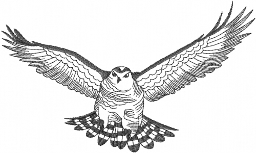500x300 Flying Hawk Outline Embroidery Design Annthegran - Flying Hawk Drawing