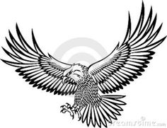 236x181 Hawk Clipart Flying Hawk - Flying Hawk Drawing