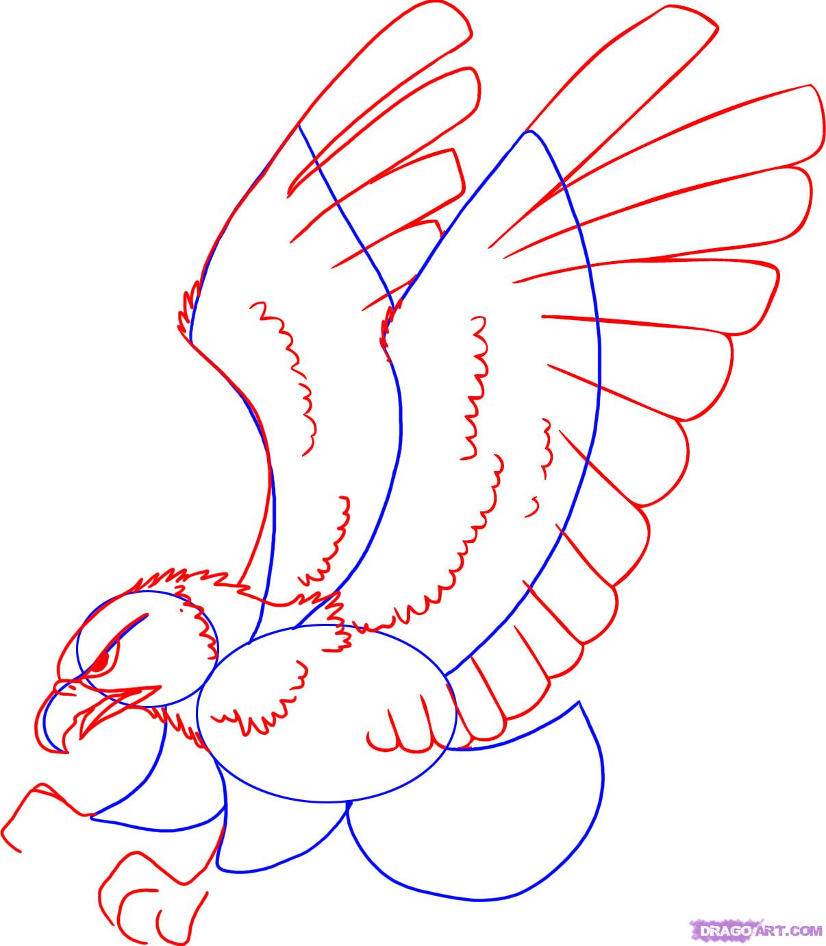 Flying Hawk Drawing at Explore collection of