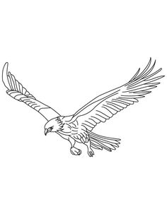 236x303 Free Hawk Images To Draw A Cartoon Hawk, Step - Flying Hawk Drawing