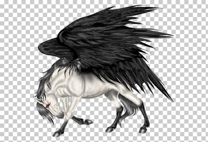 728x500 Flying Horses Png Cliparts For Free Download Uihere - Flying Horse Drawing